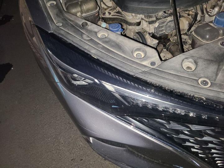 Eado 2020 PLUS NE 1.4T GDI DCT Flagship photo 7