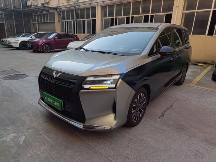 730 EV 2025 125km Luxury