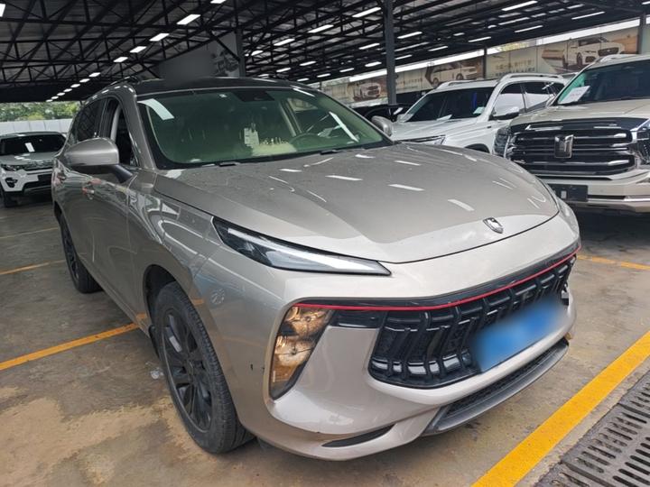 Forthing T5 EVO 2021 1.5TD DCT photo 3