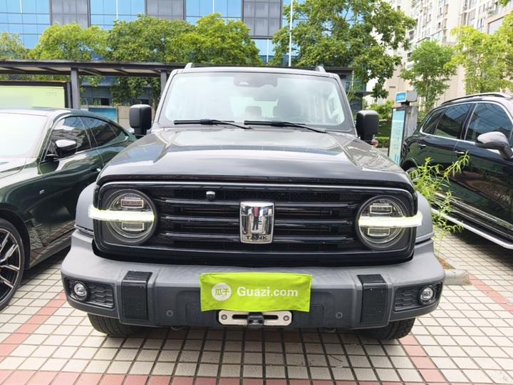 300 2021 Off-road 2.0T Conqueror photo 2