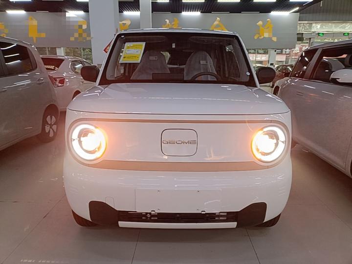 2024 Panda mini 200km Endurance Bear photo 2