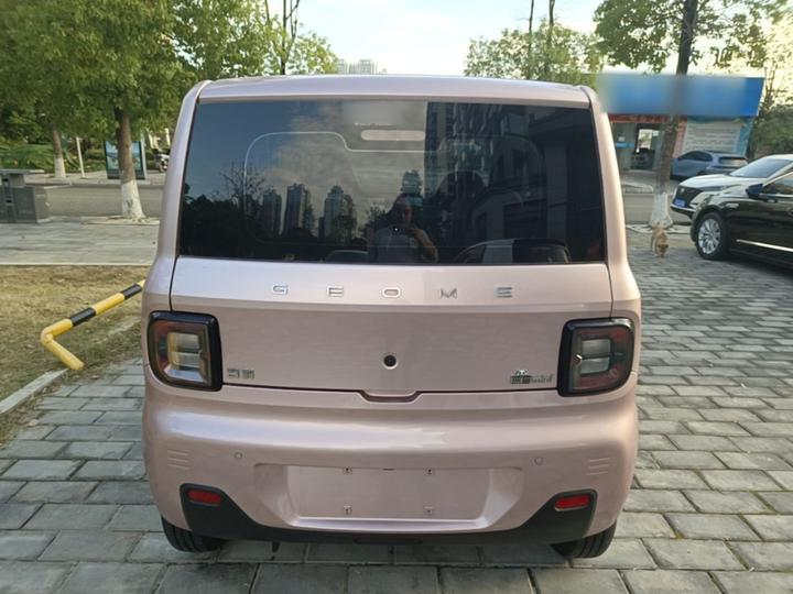 2023 Panda mini 200km Endurance Bear photo 3