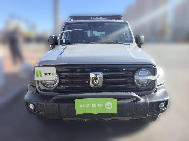 300 2021 Off-road 2.0T Conqueror photo 2