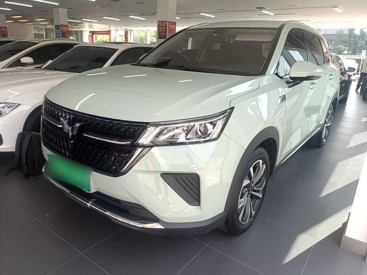 Wuling 2022 2.0L DHT