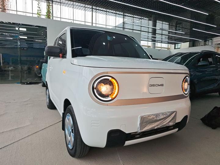 2023 Panda mini 200km Endurance Bear photo 2