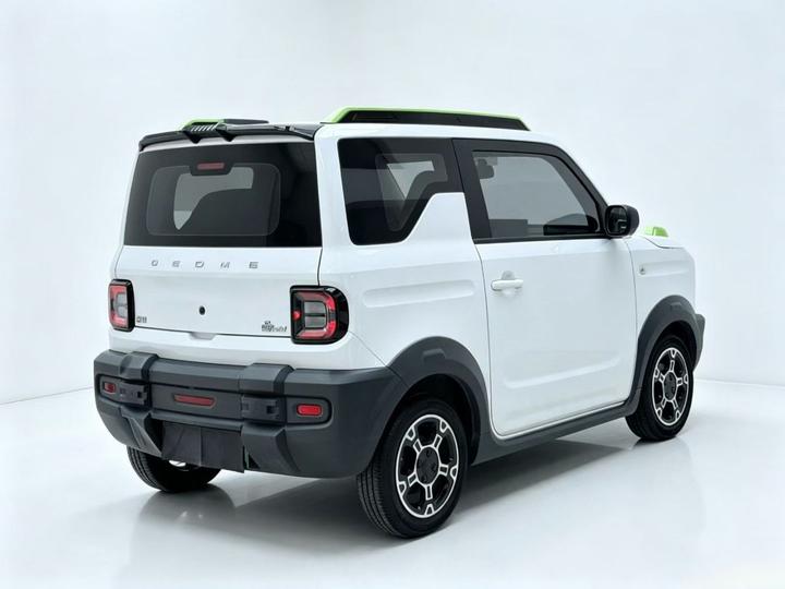 2024 200km Panda photo 5