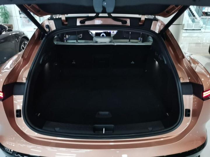 06T 2026 Performance EV photo 8