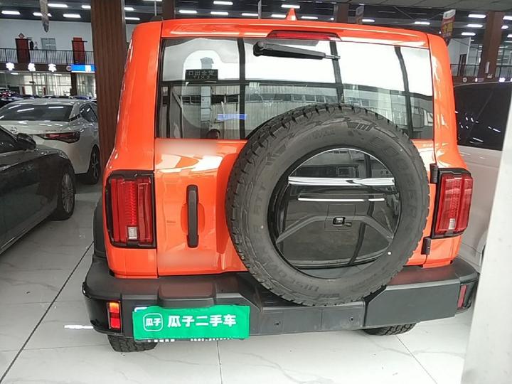300 2025 2.0T Petrol Conqueror photo 3