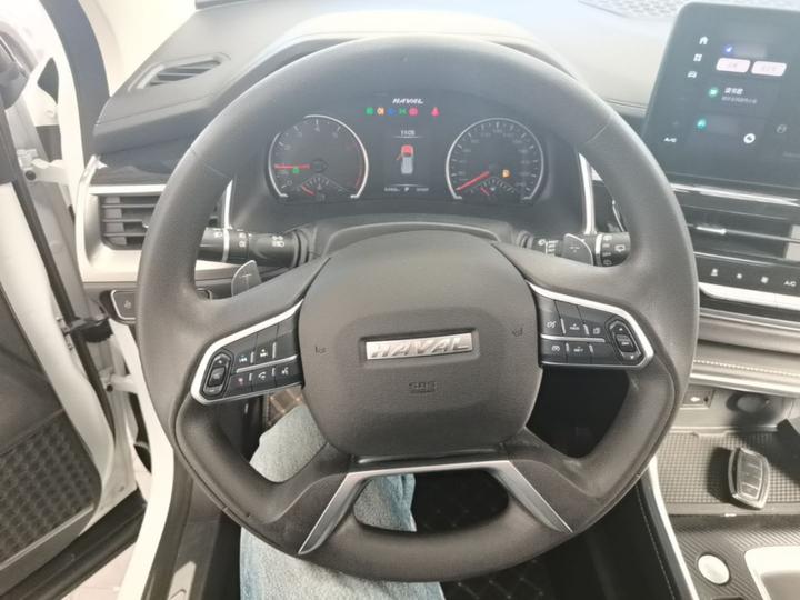 H6 2021 1.5T AT photo 6