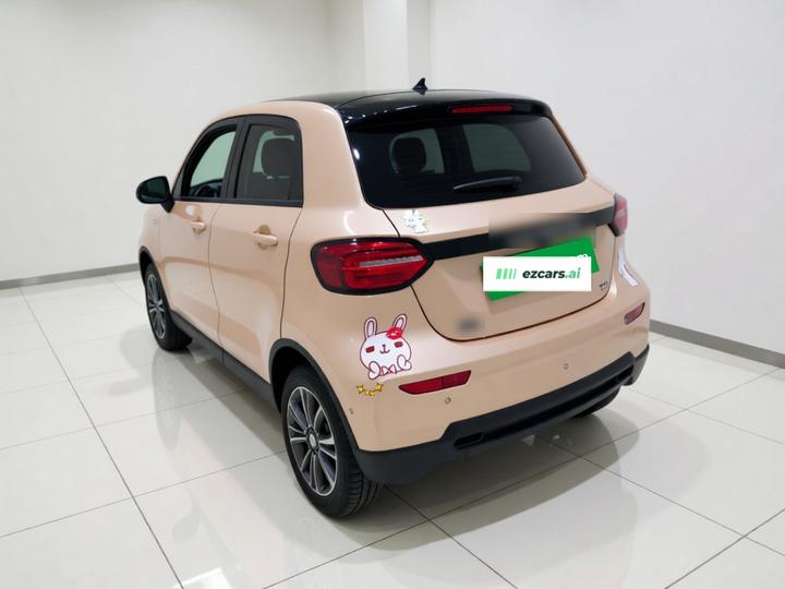 Leapmotor T03 2021 400 Luxury photo 4