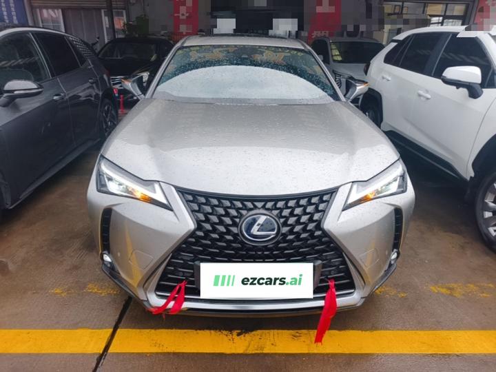 UX EV 2020 300e photo 2