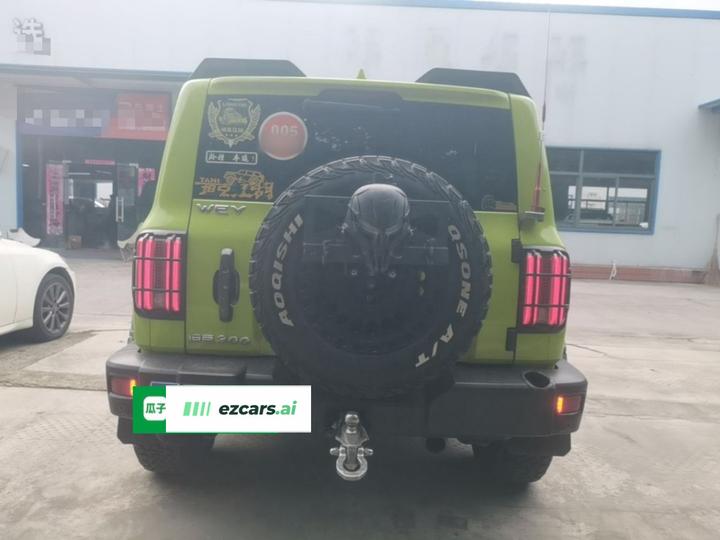 300 2021 Off-road 2.0T Conqueror photo 3