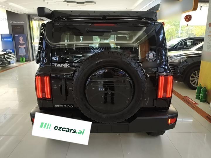 300 2021 Off-road 2.0T Conqueror photo 3
