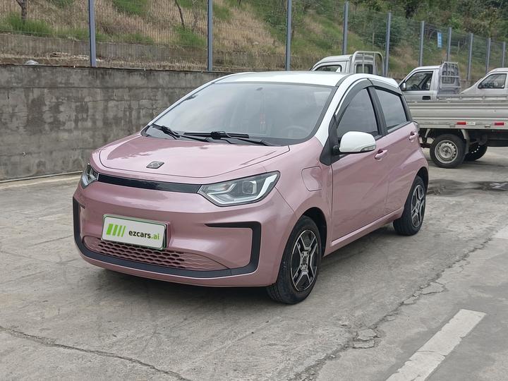 Sehol Flower Fairy 2021 302km Fashion 31.4kWh