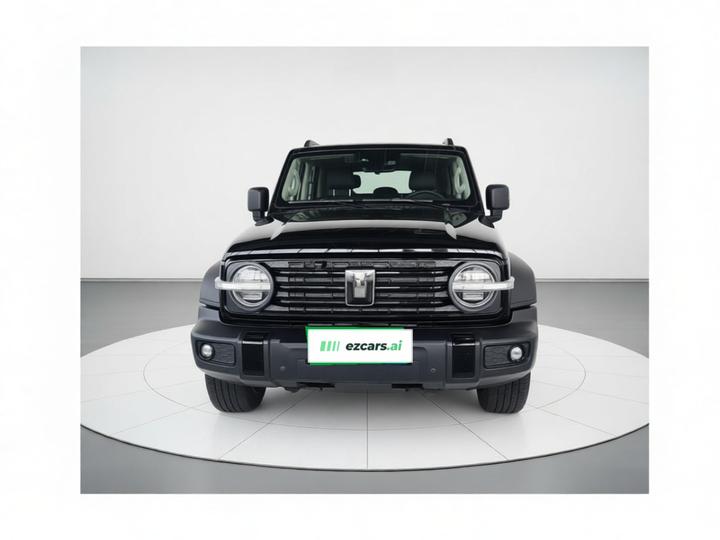300 2024 2.0T Conqueror photo 2