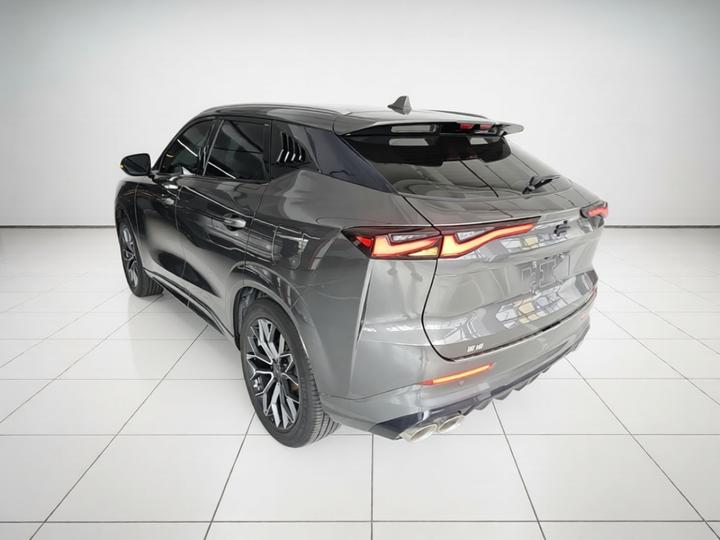 Z6 2023 1.5T DCT photo 4