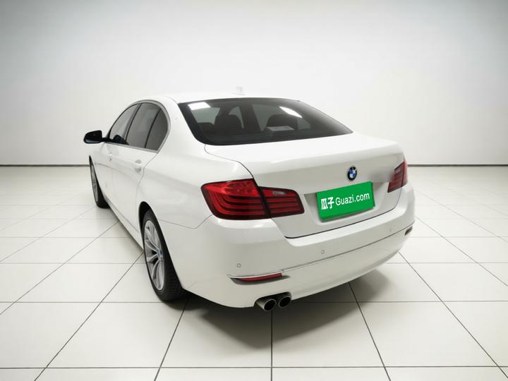5 Series 2014 520Li photo 4