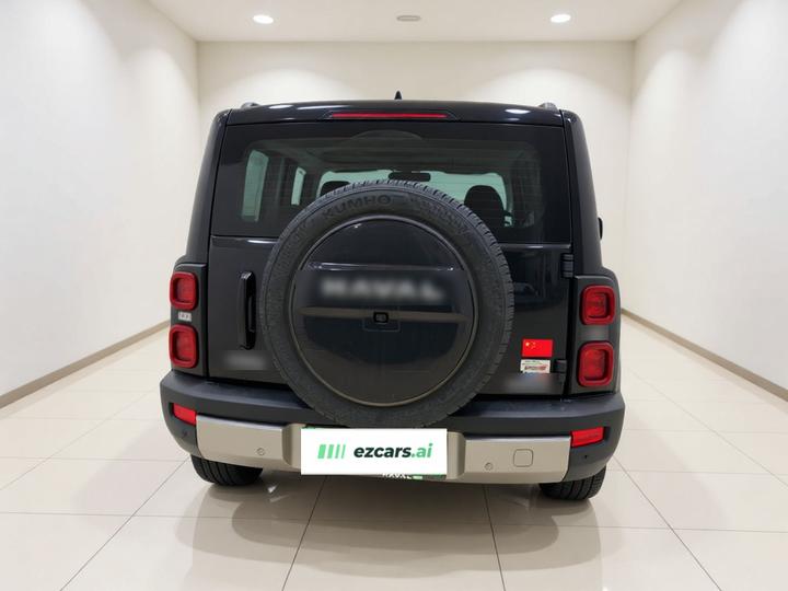 EV 2024 Hi4 145 Pro photo 5