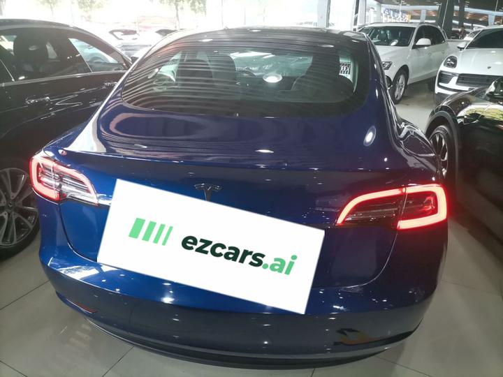 Model 3 Imported 2019 Standard Range RWD Upgraded 52 photo 4