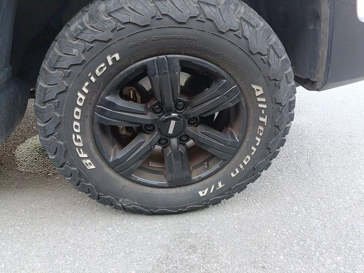 300 2021 Off-road 2.0T photo 8