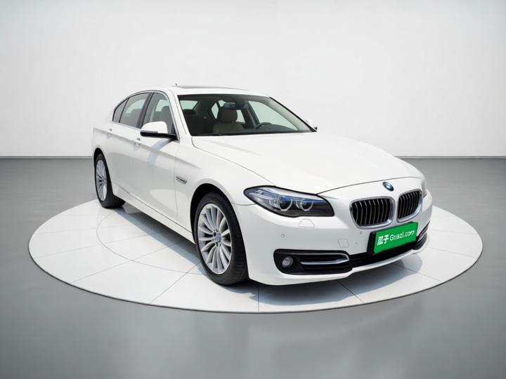 5 Series 2014 525Li Luxury Design Package photo 3
