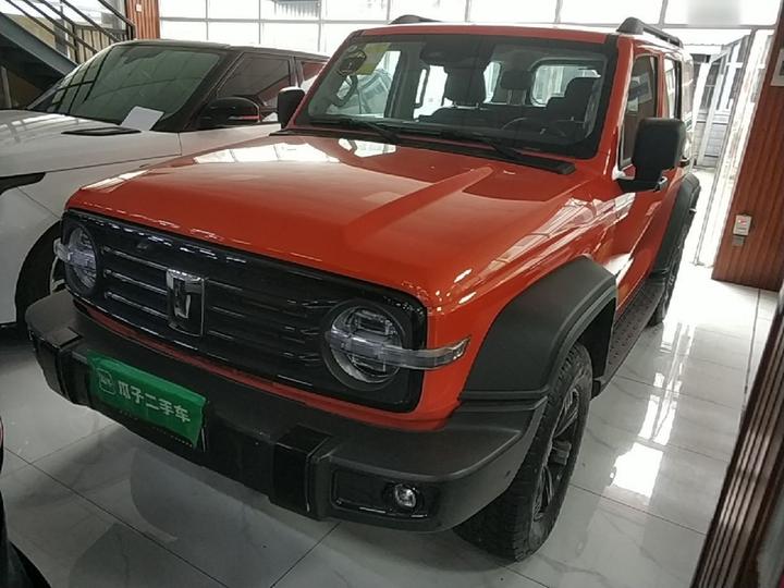 300 2025 2.0T Petrol Conqueror