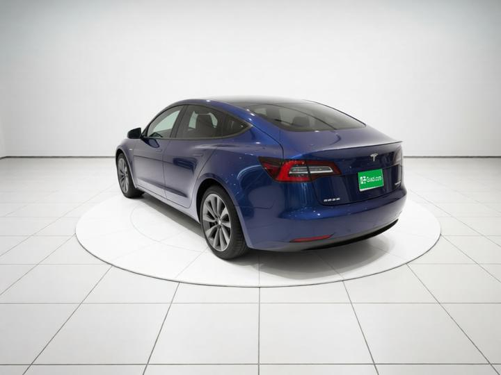 Model 3 Imported 2019 Long Range RWD photo 4