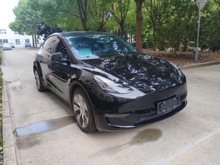 Model Y 2021 Standard Range RWD photo 3