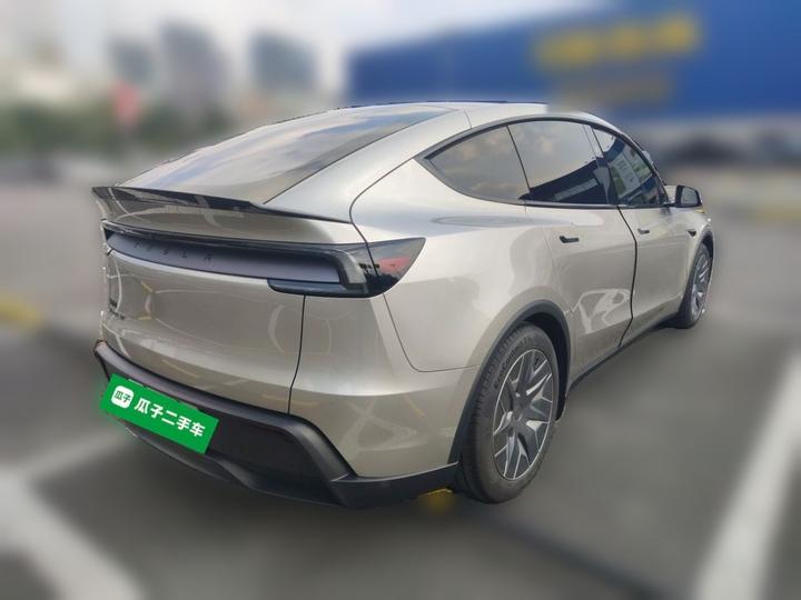 Model Y L 2025 Long Range AWD photo 6