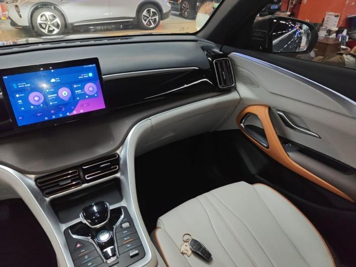 Song Pro EV 2022 DM-i 51km Luxury photo 8