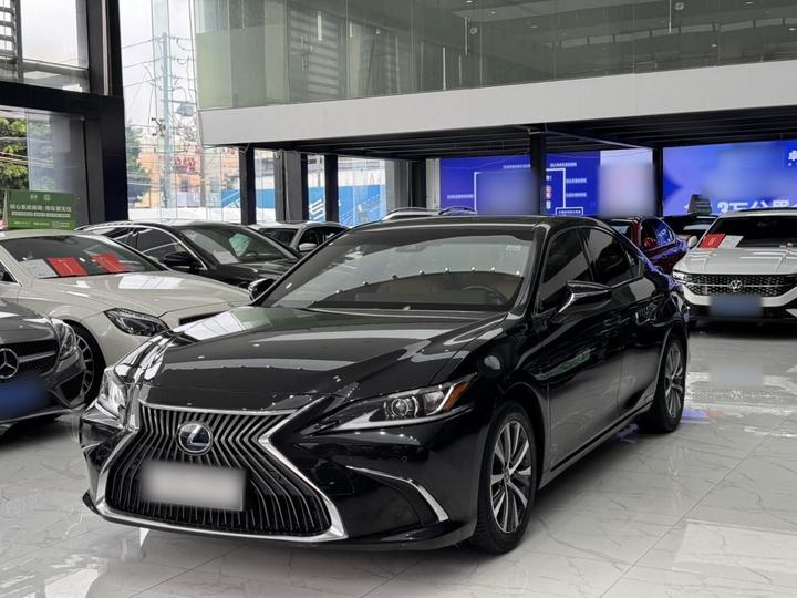 ES 2018 300h Excellence China V