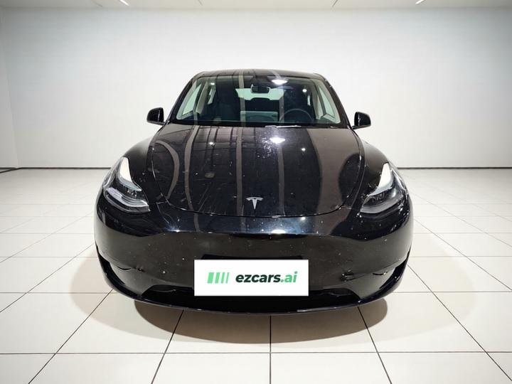 Model Y 2024 RWD photo 2