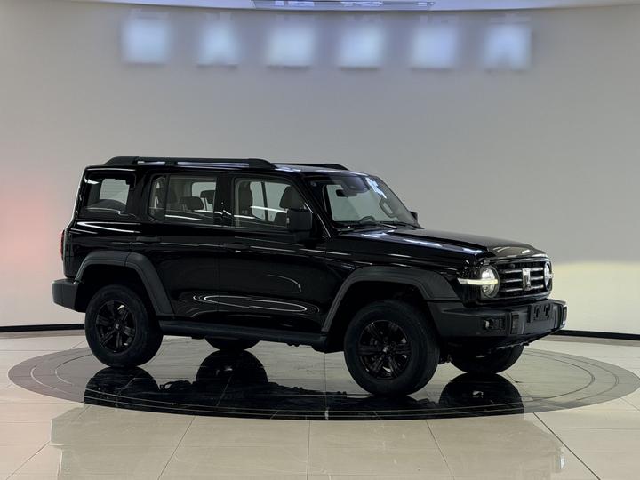 300 2021 Off-road 2.0T Conqueror photo 3