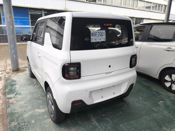 2023 Panda mini 200km Endurance Bear photo 3