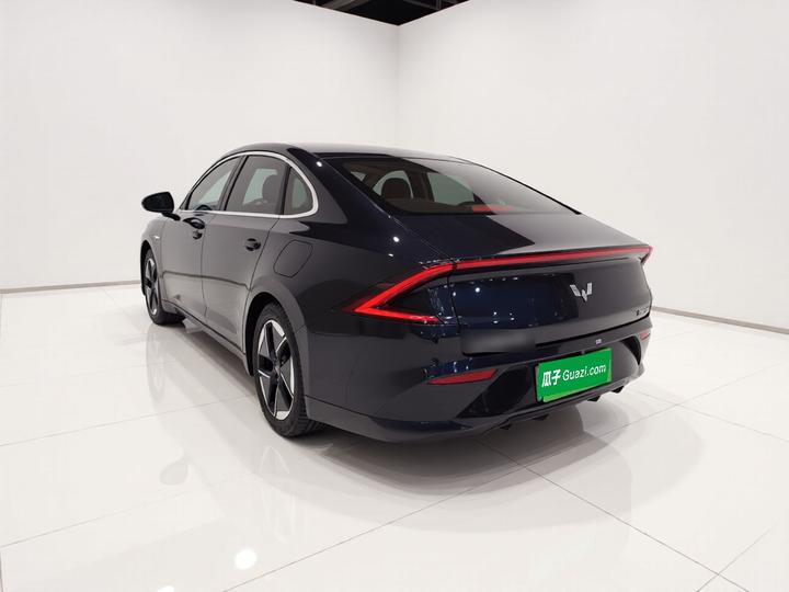 Wuling 2024 150 Pilot photo 3