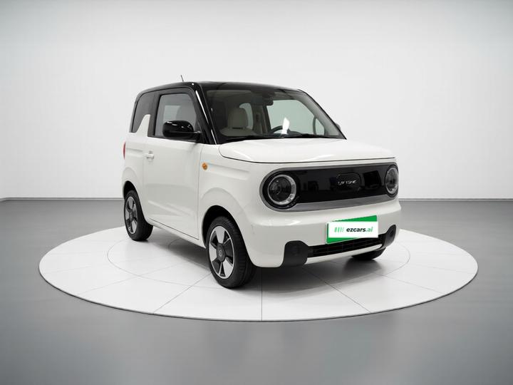 2023 Panda mini 200km Endurance Bear photo 3