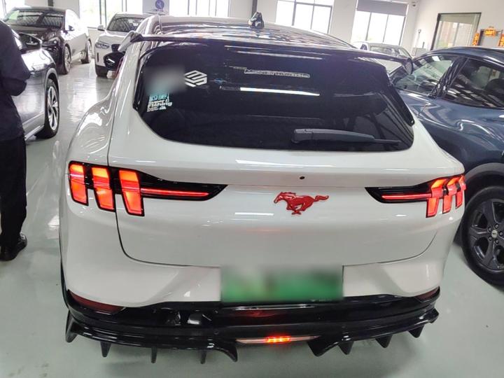 2021 RWD Luxury Long Range photo 3