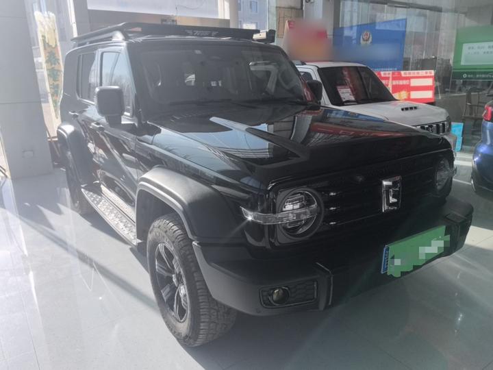 300 2021 Off-road 2.0T Conqueror photo 3