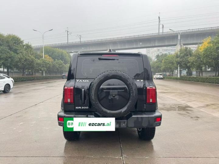 300 2021 Off-road 2.0T Conqueror photo 5