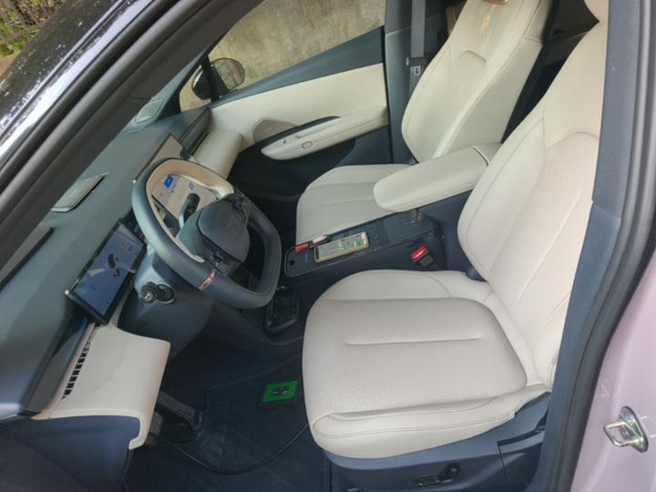 Z20 2025 530km RWD Max photo 8