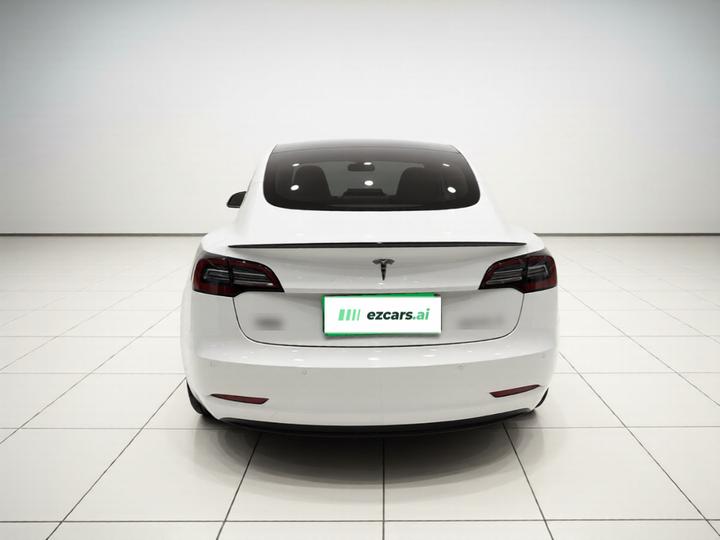 Model 3 2021 Performance AWD photo 5