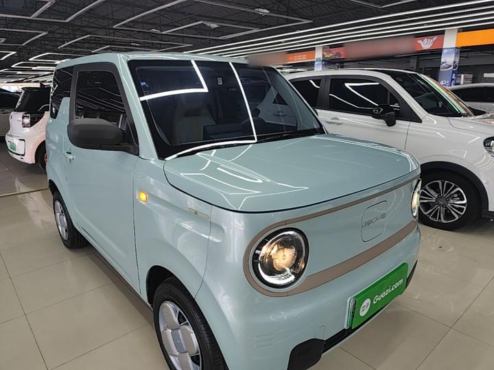 2023 Panda mini 200km Endurance Bear photo 3