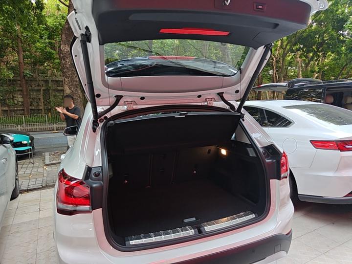 X1 EV 2020 xDrive30Le Exclusive photo 8