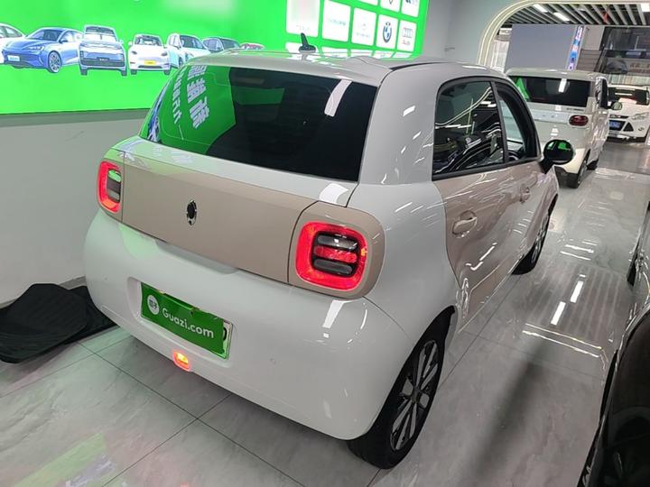2021 351km Luxury photo 6