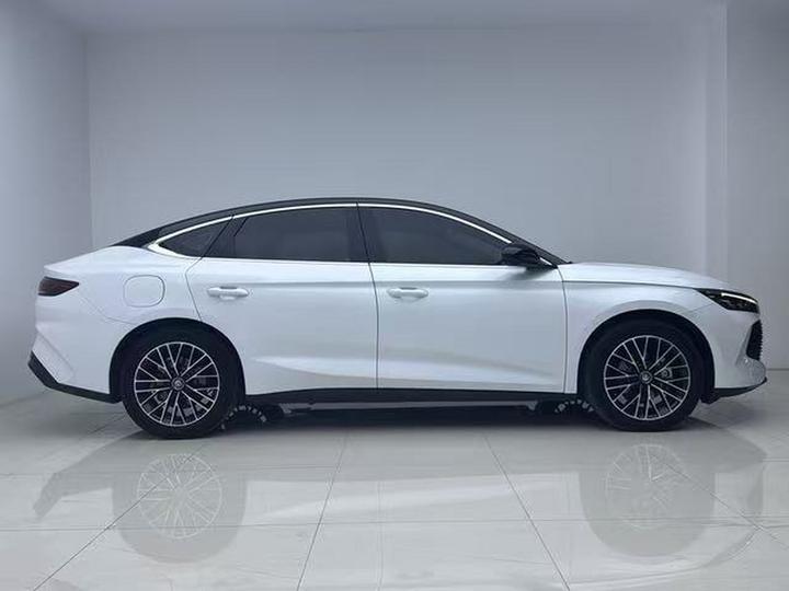 Qin L 2024 DM-i 120KM Excellence photo 4