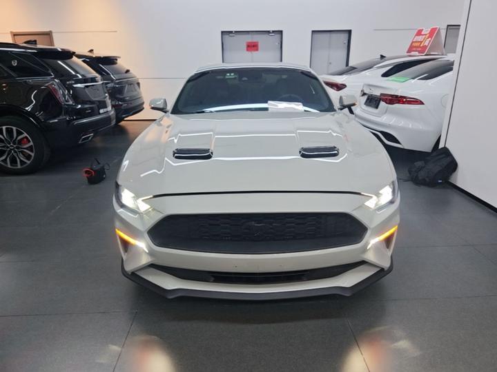 Mustang Parallel Import photo 2