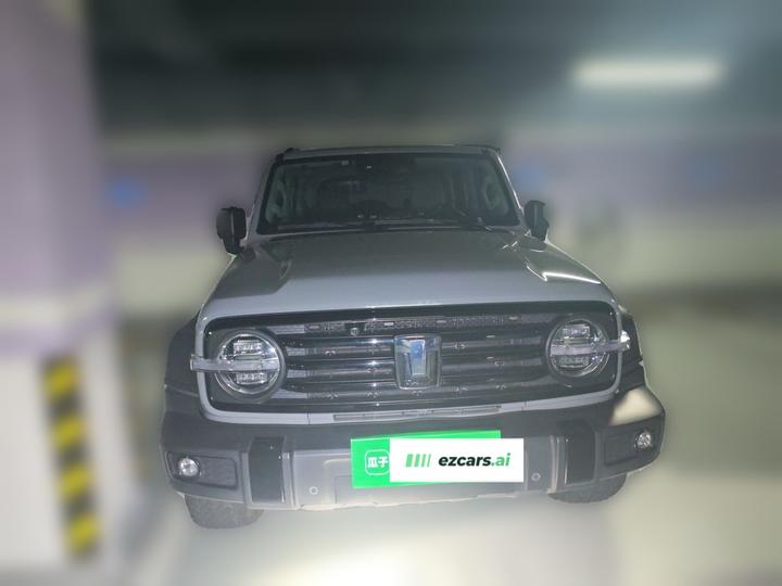 300 2021 Off-road 2.0T Conqueror photo 2
