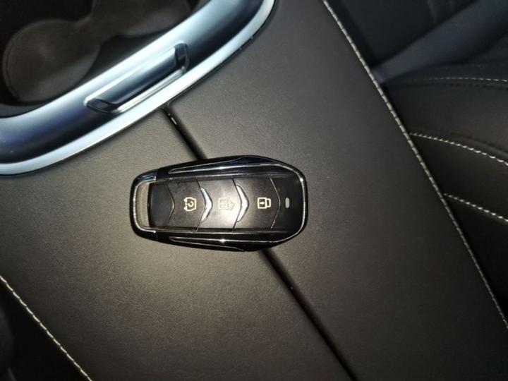 Bluelectric E5 2023 1.5L DE-i 100KM 7-Seater photo 8