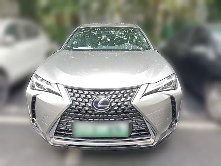 UX EV 2020 300e photo 2