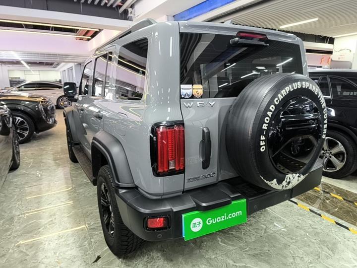 300 2021 Off-road 2.0T Conqueror photo 4